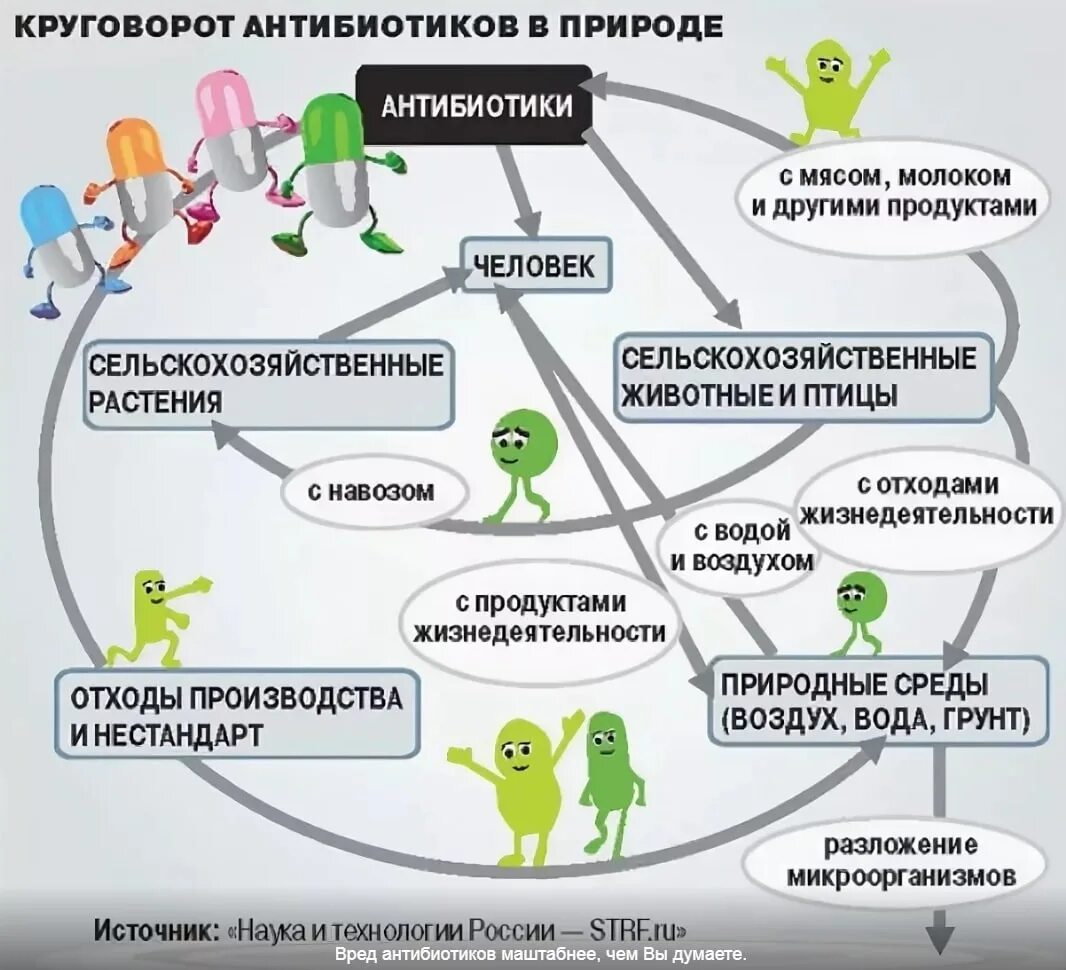 Вредно ли пить антибиотики. Круговорот антибиотиков в природе. антибиотики в окружающей среде. антибиотики полезные и вредные. вредное воздействие антибиотиков.