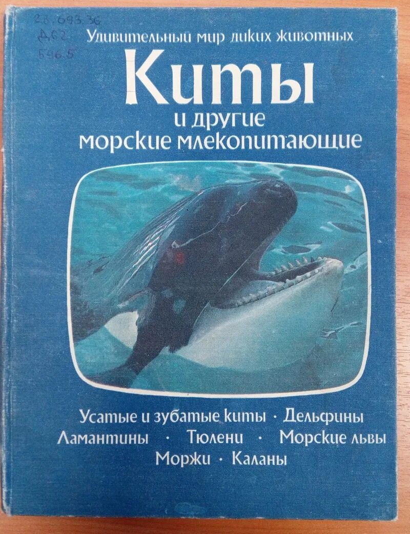 Книга про кита. Дозье киты и другие морские млекопитающие. Книга Дозье киты и другие морские млекопитающие. Книги о китах и морских млекопитающих. Художественные книги о морских млекопитающих.