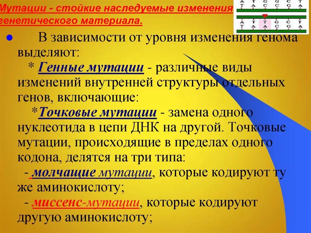 Стойкое изменение генотипа. Мутации по уровню изменения генетического материала. Виды мутаций по изменениям генетического материала. Стойкие изменения генетического материала. Мутации на популяционном уровне.