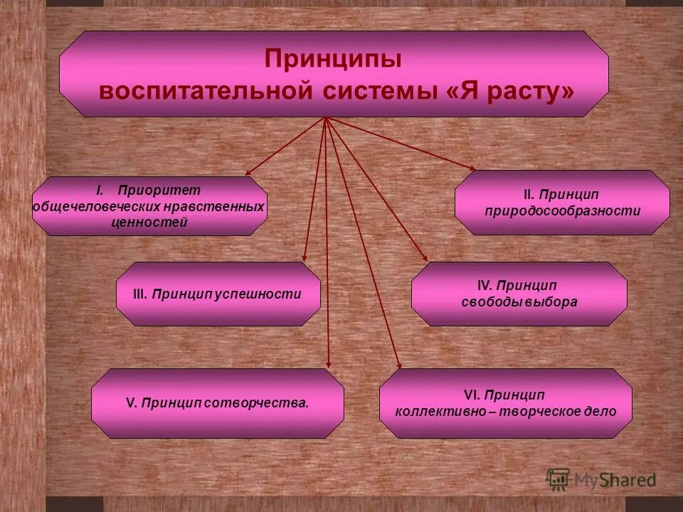 принципы воспитательной системы