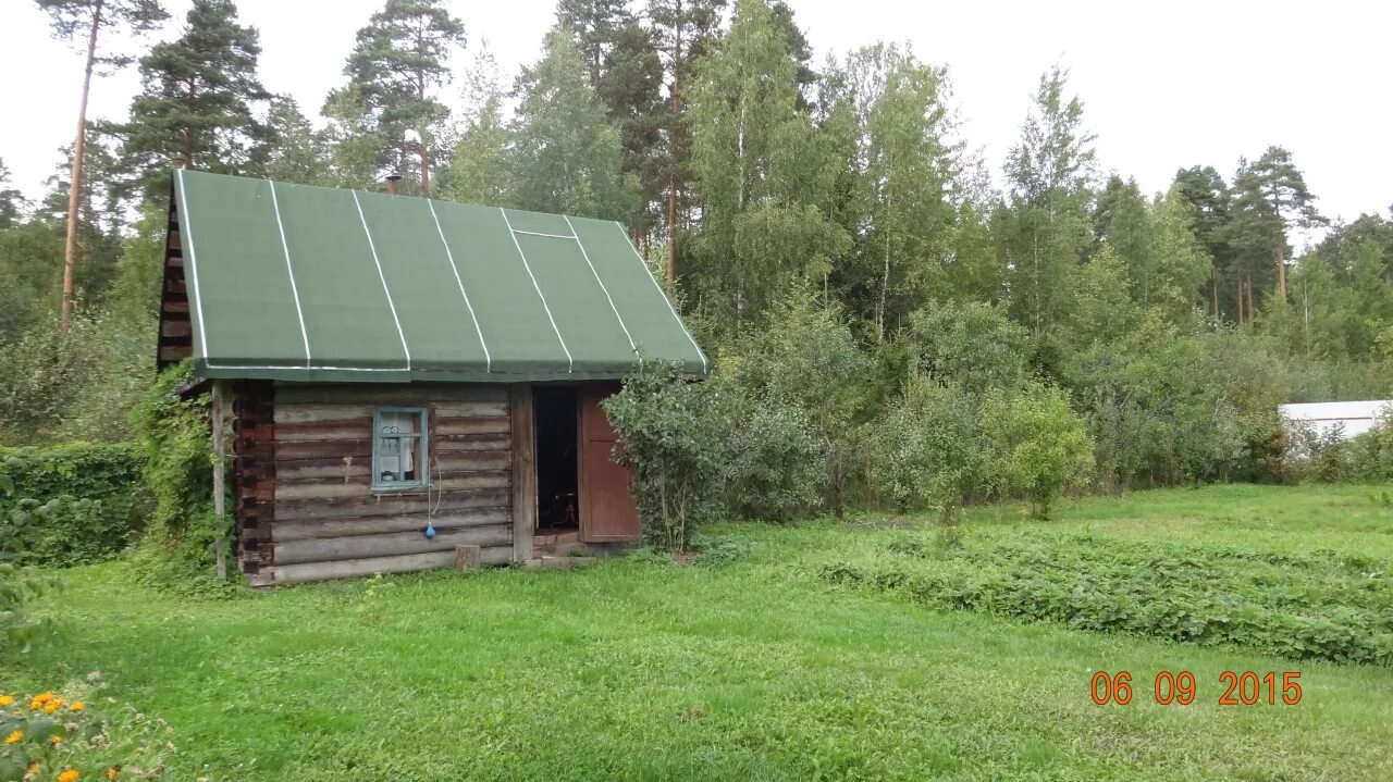 Дача чаща гатчинский. Топканово снт салют. снт салют чаща. снт салют икша. снт салют владимирская область.