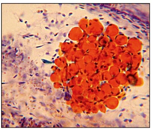 рядом с суданом 3. рядом с суданом 3. рядом с суданом 3. рядом с суданом 3. судан на карте африки.