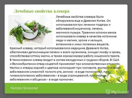 Клевер луговой для чего применяется