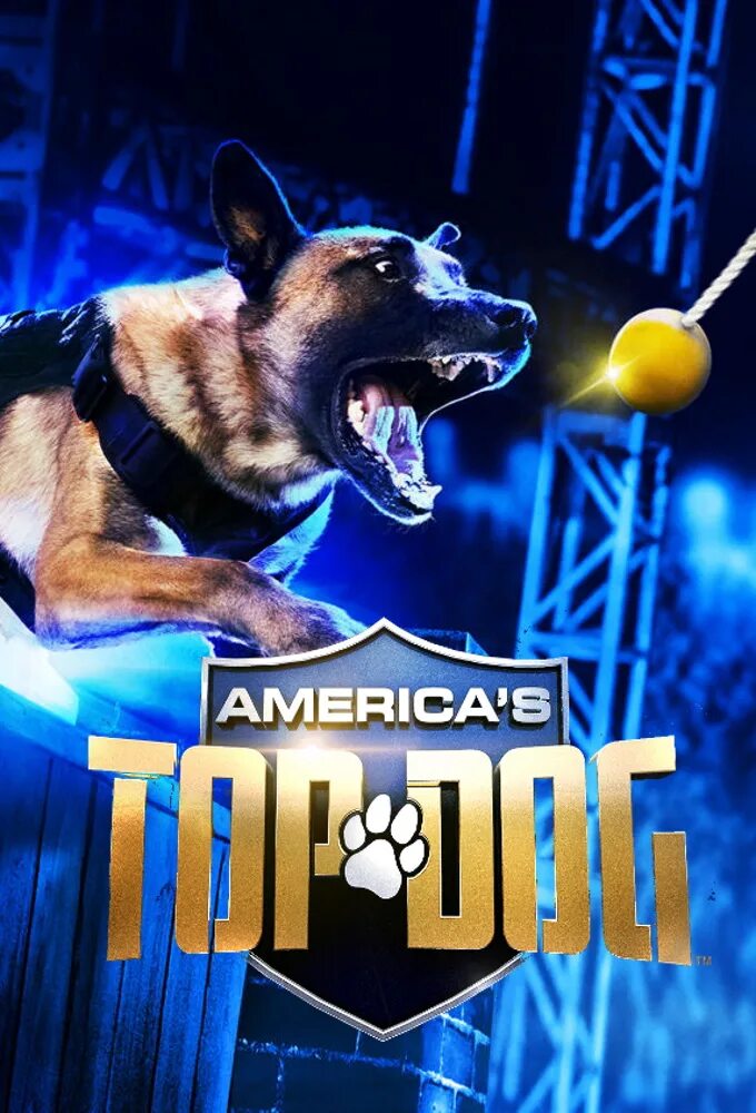 Топ дог эмблема. Top dog 32. Топ дог автозвук. Топ дог лого. Топ дог - top dog (2020).
