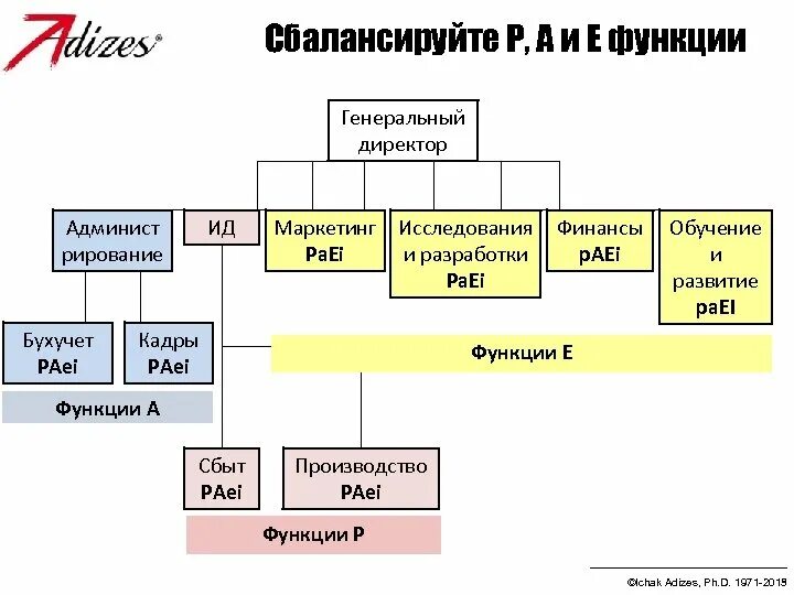 Задачи директора ооо. Функции генерального директора предприятия. Генеральный директор задачи и функции. Роль генерального директора в организации. Функции ген директора.