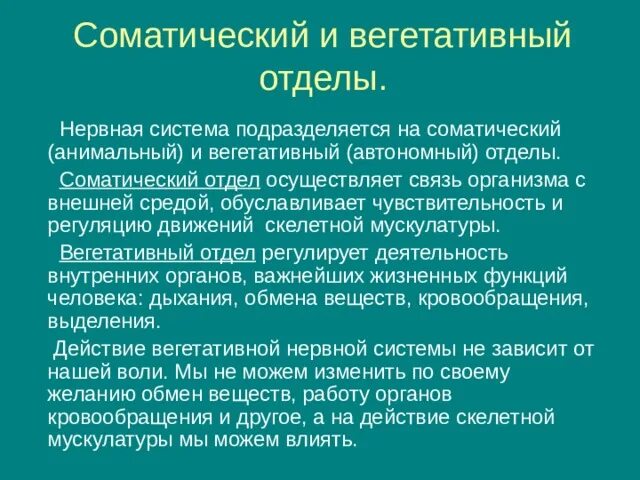 Значение нервной системы в управлении движениями и регуляции. Значение нервной системы в управлении системы регуляции. Регуляция соматического отдела. Роль нервной системы в регуляции движений. Соматический и вегетативный автономный отдел