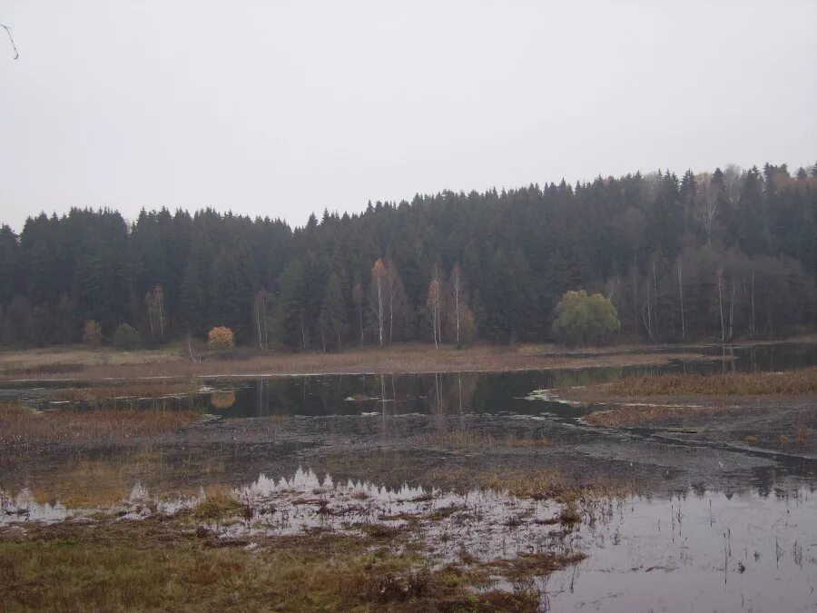 яхромское водохранилище. яхромское водохранилище. свистуха яхромское водохранилище. свистуха яхромское водохранилище. яхрома водохранилище.