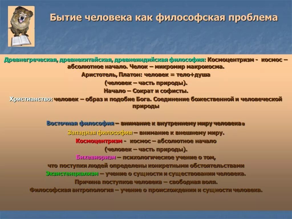 Основные проблемы философского бытия. Человеческое существование и проблемы. Бытие человека как проблема философии. Бытие как философская проблема. Проблемы бытия человека.