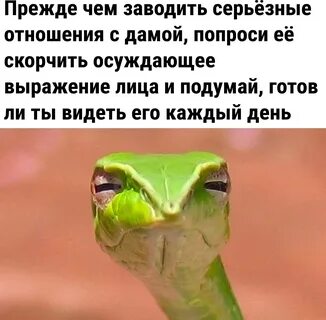 Поболтаем 