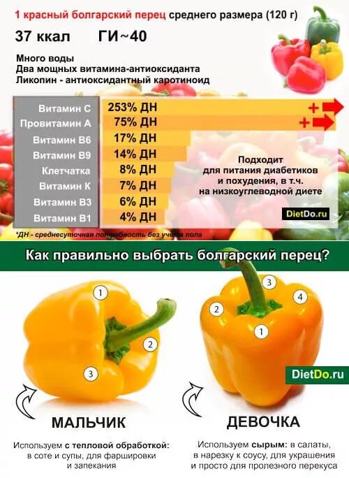 Перец какие витамины содержит. Что полезного в болгарском перце. чем полезен болгарский перец. полезные свойства перца. болгарский перец польза.