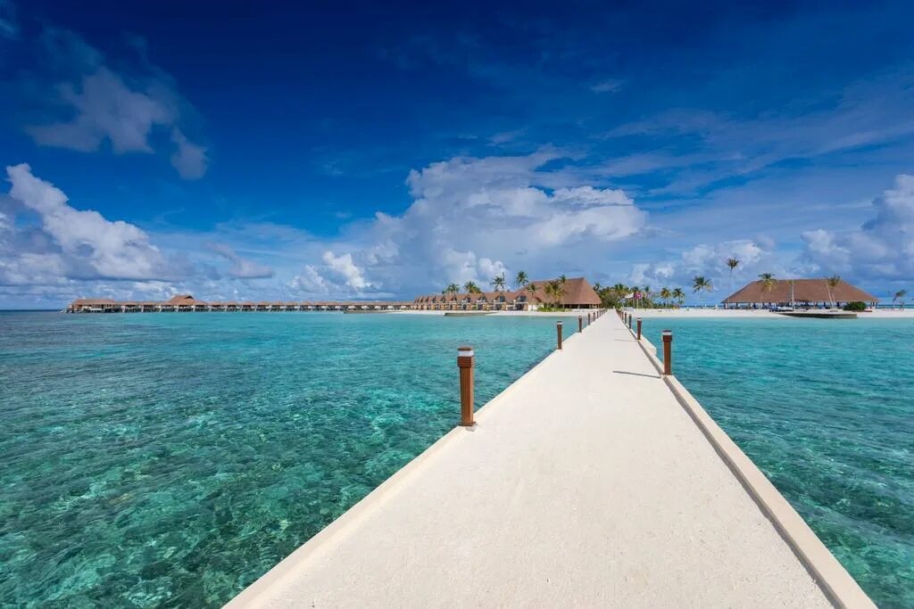 Cinnamon velifushi. Cinnamon velifushi 5*. Синнамон Мальдивы. Синамон велифиш Мальдивы. Ваав