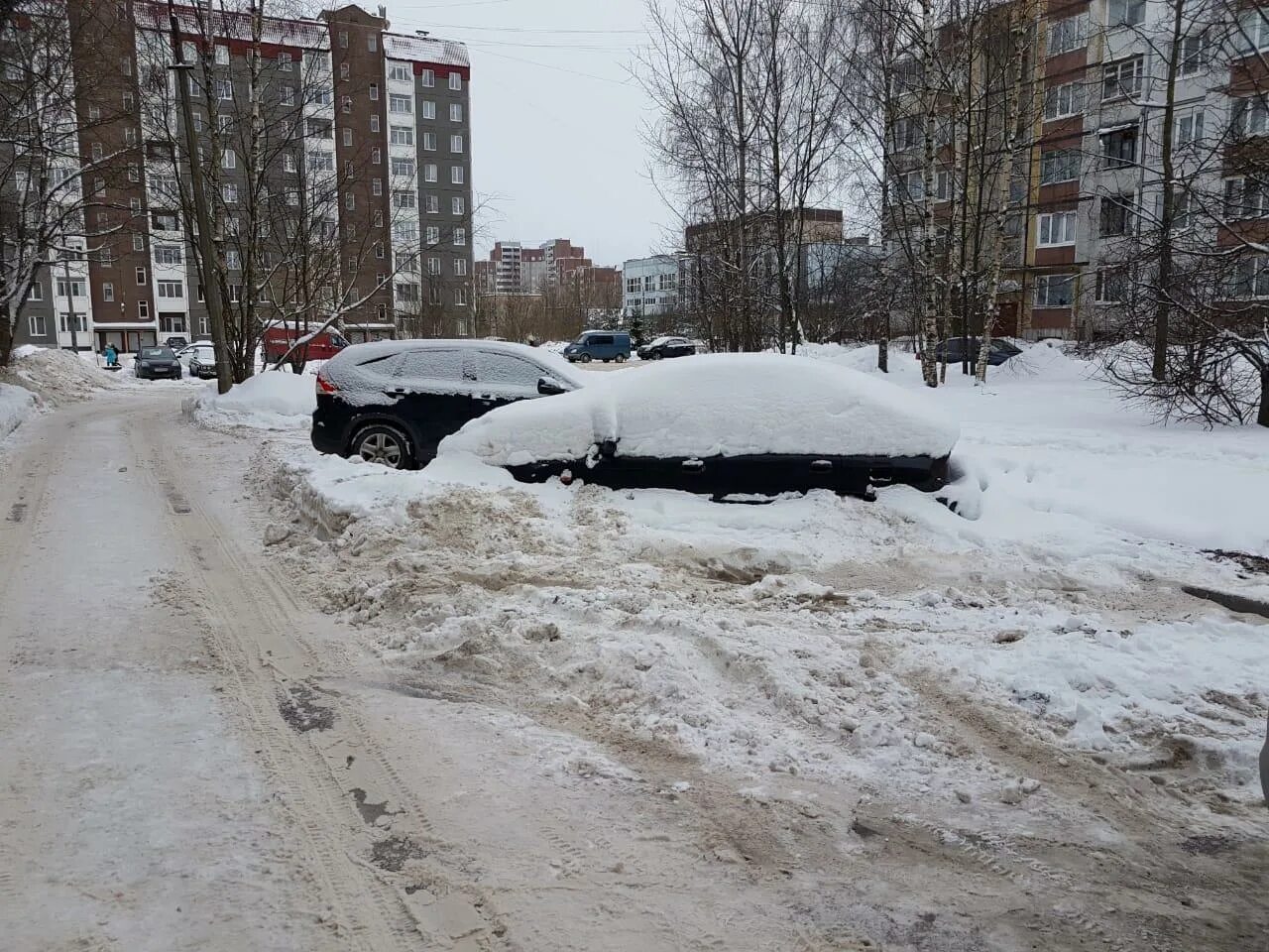 Погода в гатчине. Погода в гатчинском районе рп. Погода в гатчине. Гатчина снегопад. Снег в гатчине сегодня.