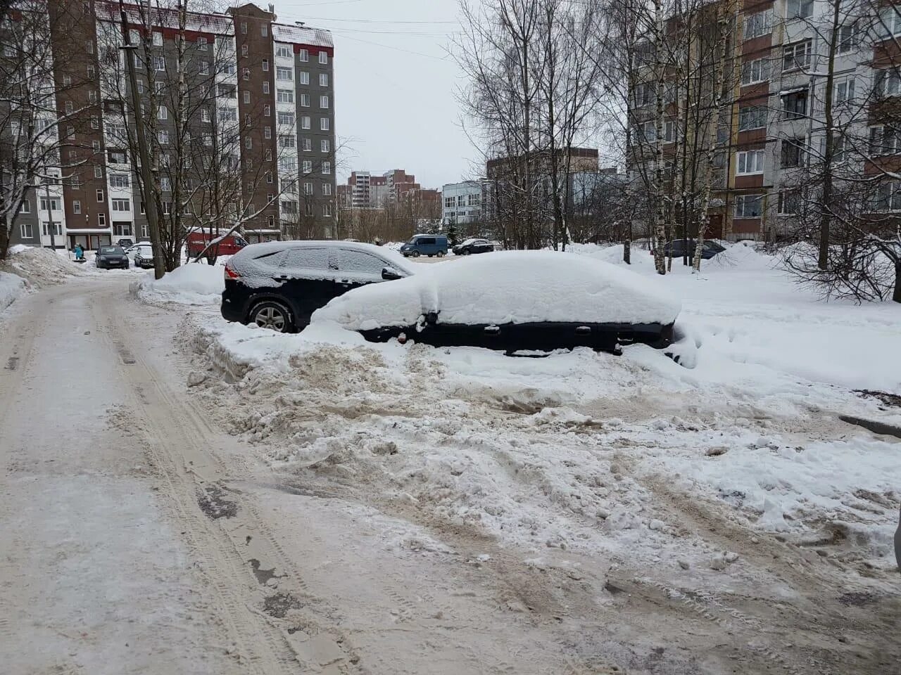 Погода гатчинского. Гатчина в снегу. Против снега. Климат Гатчины. Снежная дорога в Гатчине.