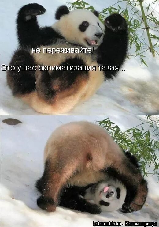 не переживай все переживем слушать. только близкие люди. открытка держись подруга. не переживай переживешь. прорвёмся картинки.