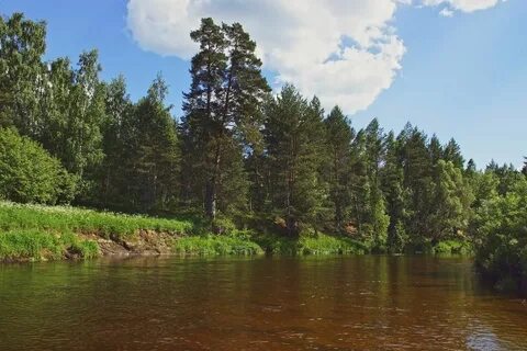 Тьма тверская область