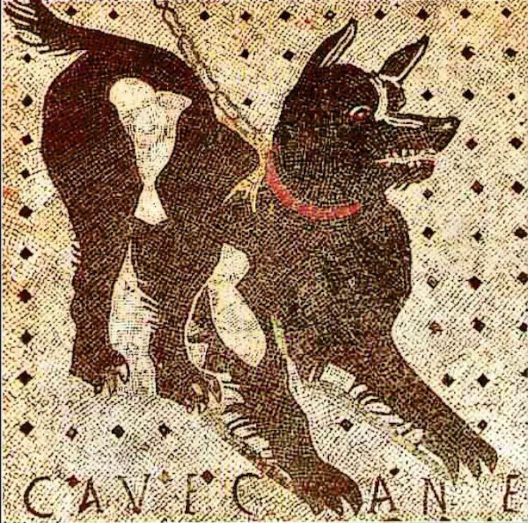 Год собаки история. Cave Canem Римская мозаика. Помпеи мозайка Берегись собкаи. Мозаика Cave Canem из Помпей. Древний Рим мозаика собака.