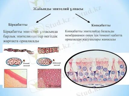 Ұйқыдағы BBW порно видео