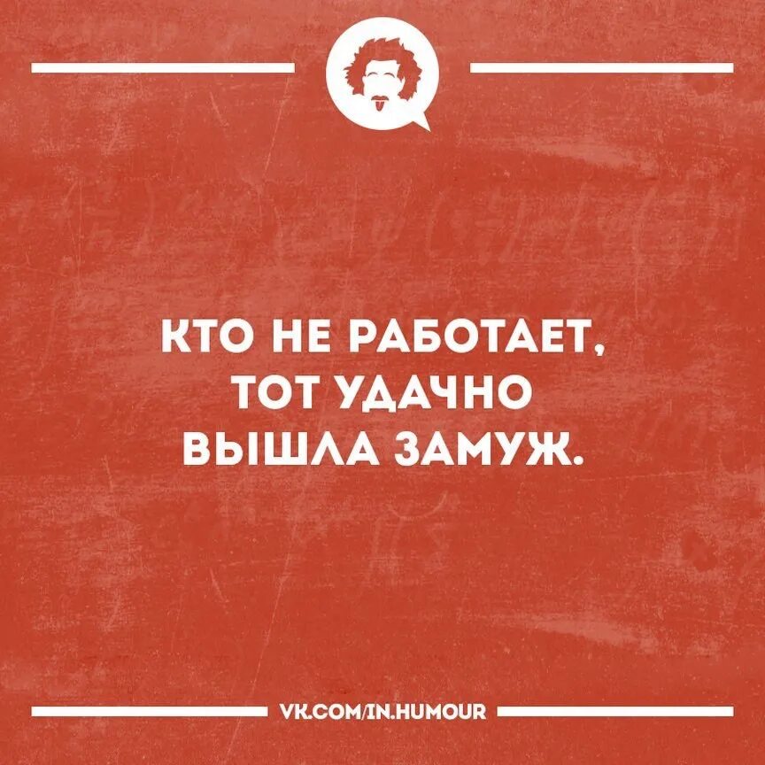 Вышла замуж и не работаю. Интеллектуальный юмор в картинках. Новый интеллектуальный юмор. Интеллектуальный юмор лучшее. Высоко интеллектуальный юмор.