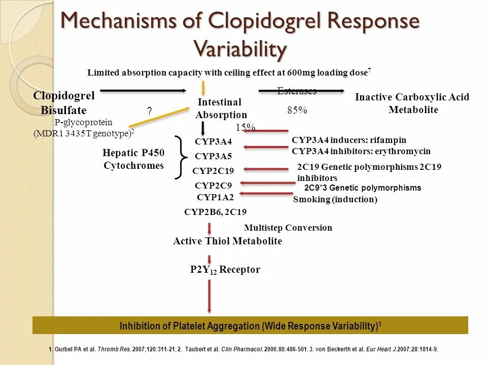 Cyp2c9 полиморфизм. Cyp2c19 Клопидогрел. Клопидогрель ингибитор cyp2c19. Тикагрелор механизм действия фармакология. Клопидогрел механизм действия