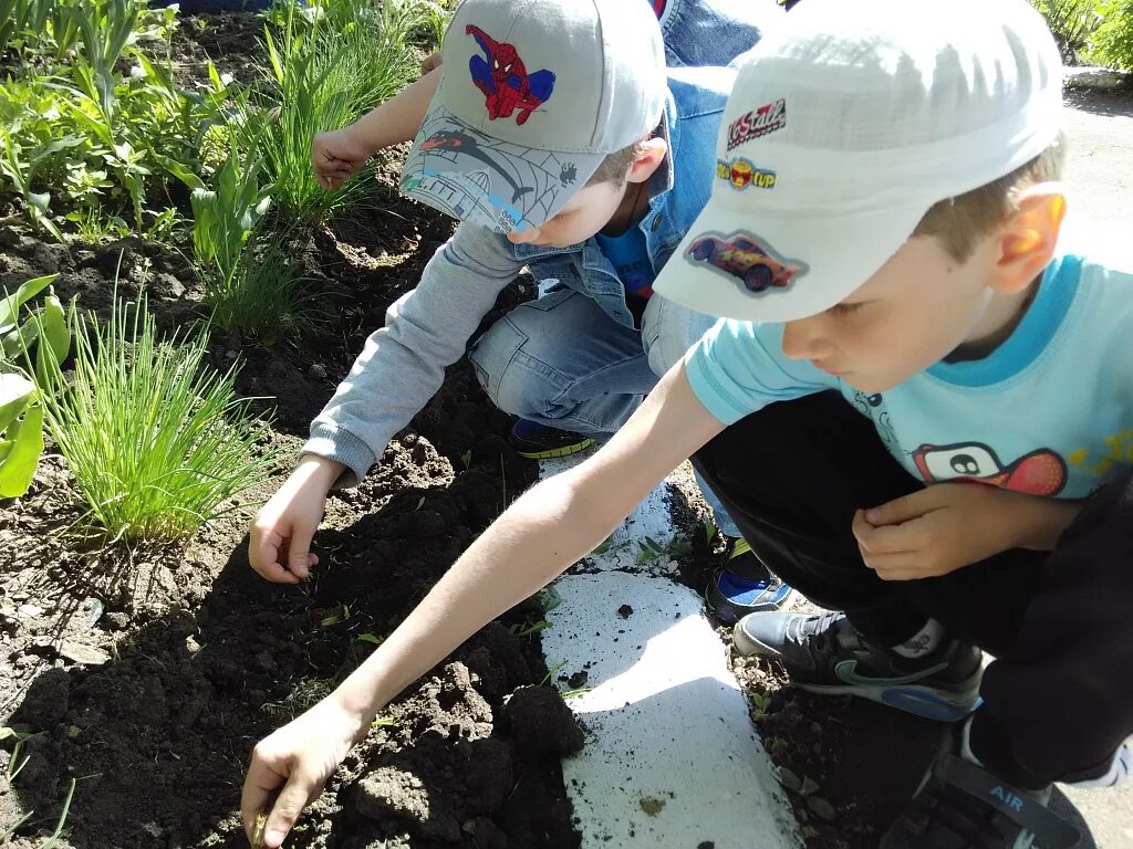 Посадка цветов в детском саду с детьми. Посадка цветов в ДОУ С детьми. Посадка цветов на клумбе в детском саду. Посадка цветов в детском саду