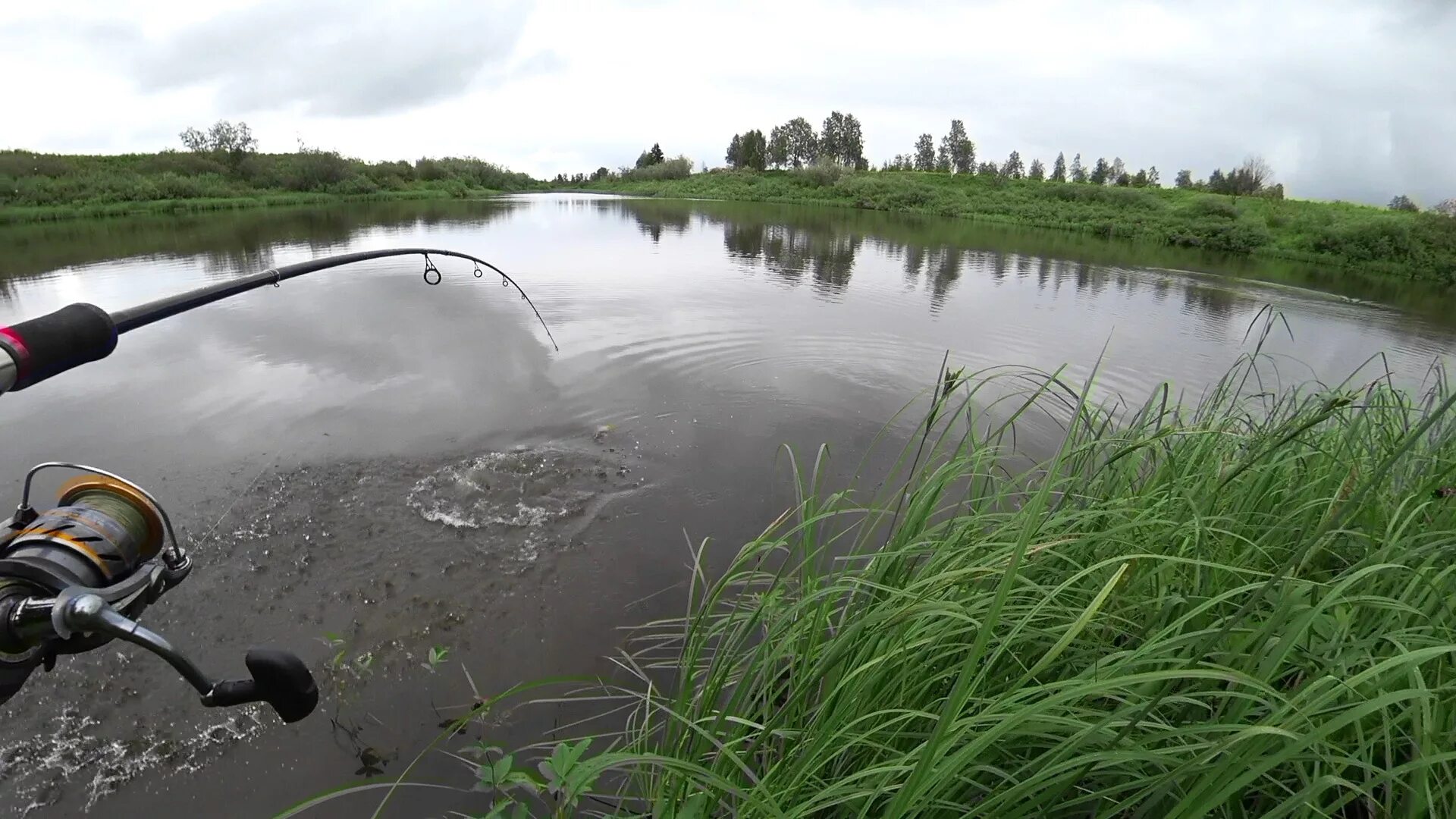 Горнешное озеро Бологое. Природа рыбалка. Рыбалка на озере. Красивые места для рыбалки. Бесплатная рыбалка на озерах