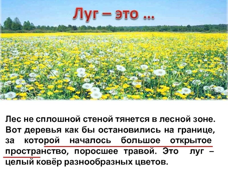 Луга нет что это