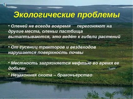 Тундра экологические проблемы