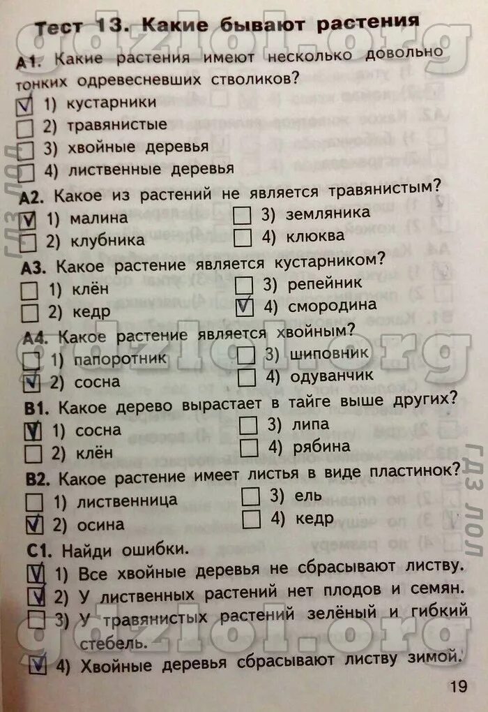 Задания по окружающему миру растения. Тест по окружающему миру с ответами. Тест какие бывают растения 2 класс школа россии окружающий мир. Окружающий мир 2 класс задания. Растения по окружающему миру 2 класс.