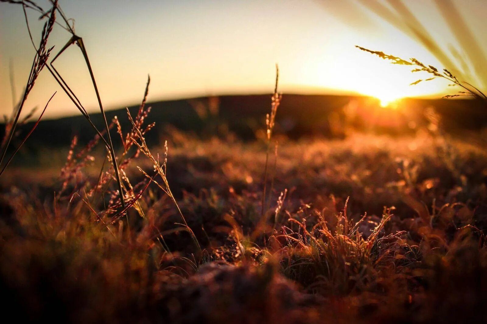 Field message. Рассвет солнца. Природа Эстетика поле. Трава на закате. Осенний закат в поле.