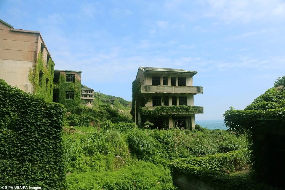 Abandoned village reclamation. Шенгси деревня в Китае. Остров Шенгси зеленая деревня. Стиль Шенгси. Houtouwan, Gouqi, Shengsi, Zhejiang.
