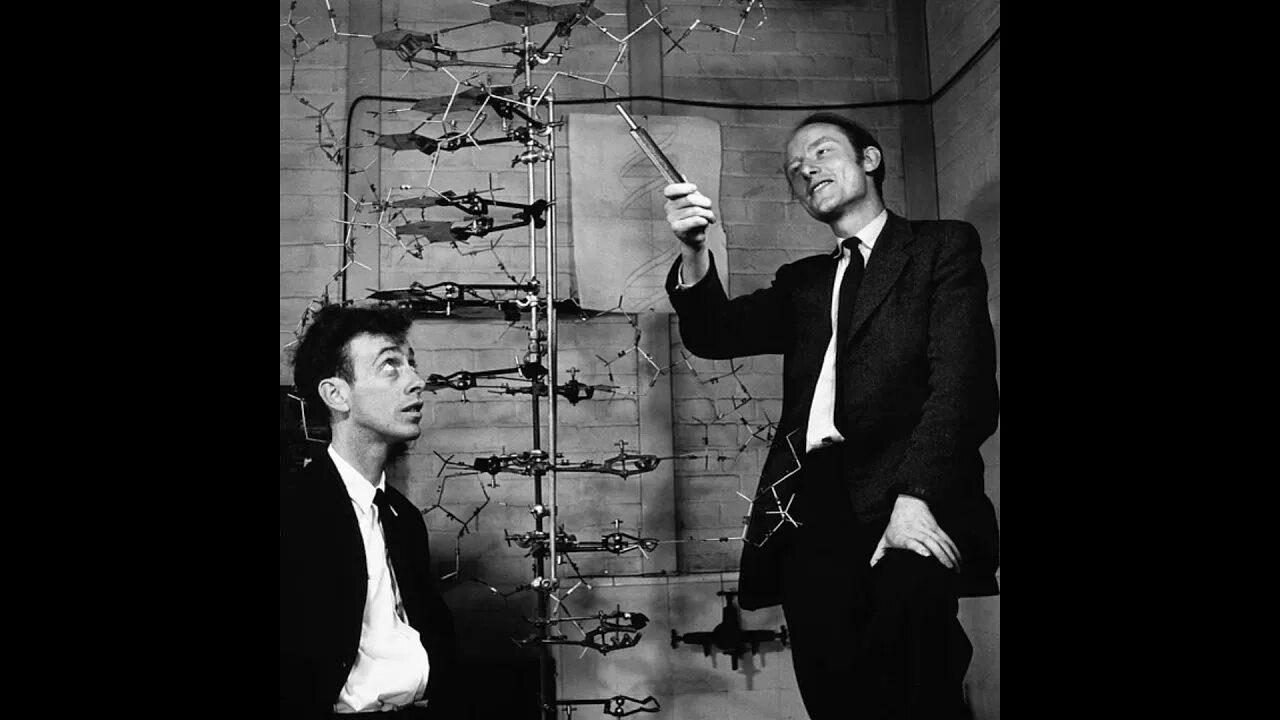 Дж уотсон и ф крик. James watson and francis crick. Строение днк модель уотсона крика. Модель дж уотсона и ф крика. Крик днк.