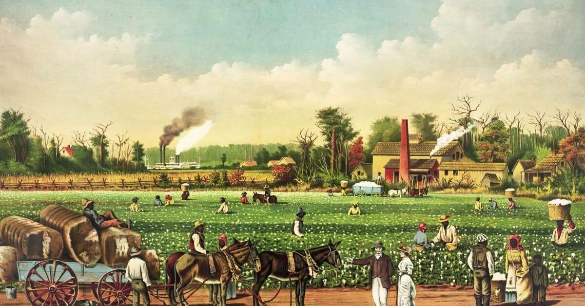 Хлопковая плантация США 19 век. Плантаторы в США 19 век. Плантаторы Юга США. Сельское хозяйство США 19 век.