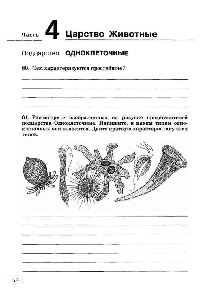 Биология захаров сонин читать. Биология 7 класс Захаров Сонин рабочая тетрадь. Биология 7 класс Захаров Сонин рабочая тетрадь моллюски. Рабочая тетрадь Сонин 7 класс. Рабочая тетрадь по биологии 7 кл Сонин.