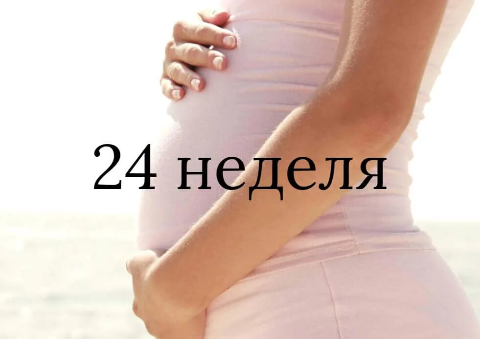 24 неделя отзывы. 22 Неделя беременности месяц. 24 Неделя беременности месяц. 24 Неделя первая беременность.