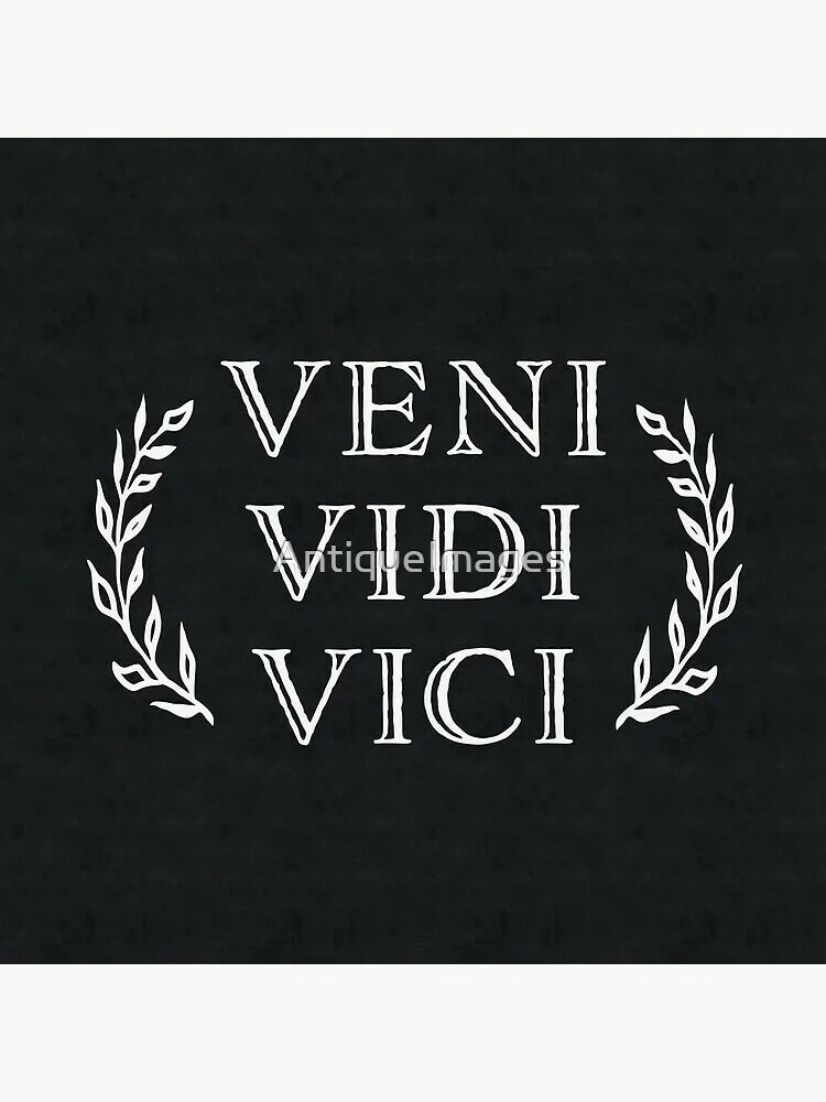 Выражение пришел увидел победил. Вени види Вичи. Пришел увидел победил. Veni vidi Vici тату.