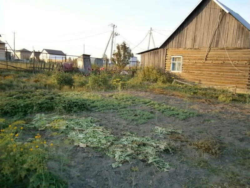 Кемерово андреевка купить. Д Андреевка Кемеровский район. Село Андреевка Кемеровская область. Кемерово Андреевка новая улица. Ул Николая Островского поселок Андреевка Кемеровская область.