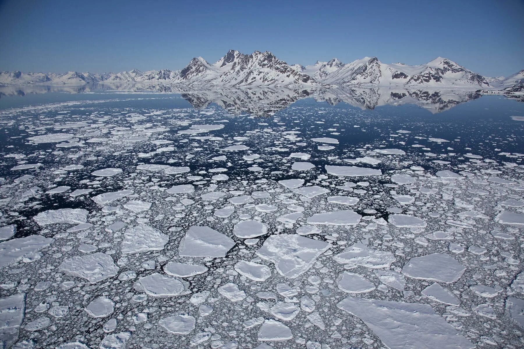 Пролет лед. Северный Ледовитый океан паковый лед. Паковые льды Арктики. Паковый лед. Многолетние льды.
