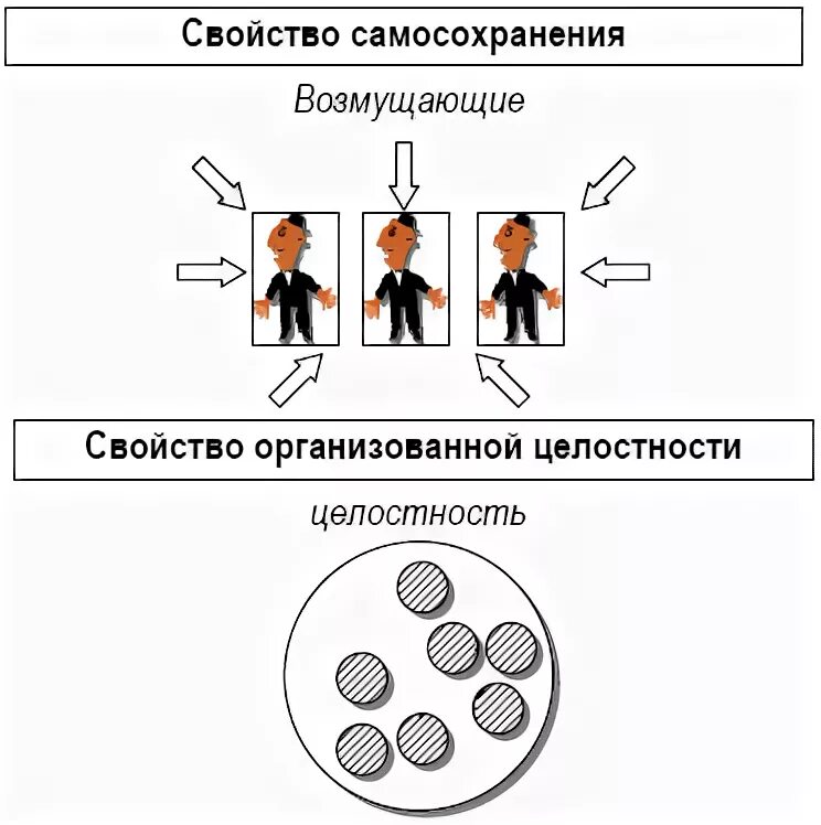 Свойства организации. Системные свойства компании. Системные свойства теории организации. Свойства систем теория организации. Система самосохранения