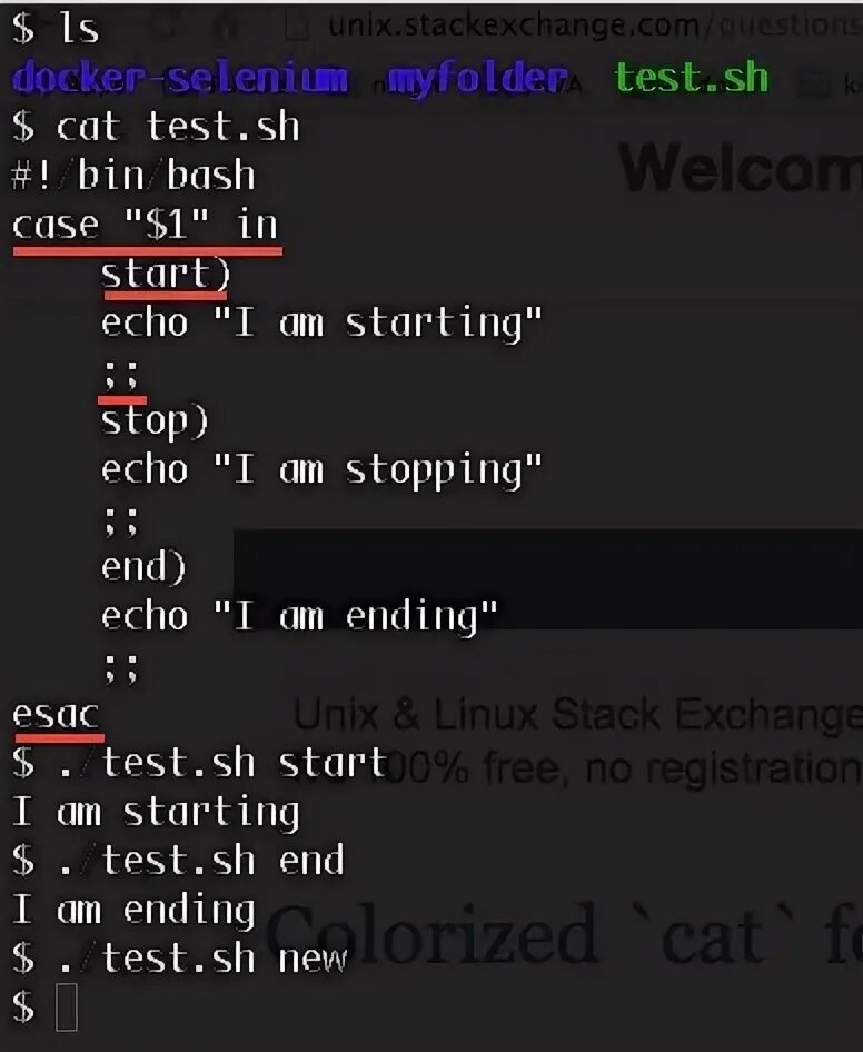 Bash switch. Bash операторы. bash case. bash linux. bash скрипты.