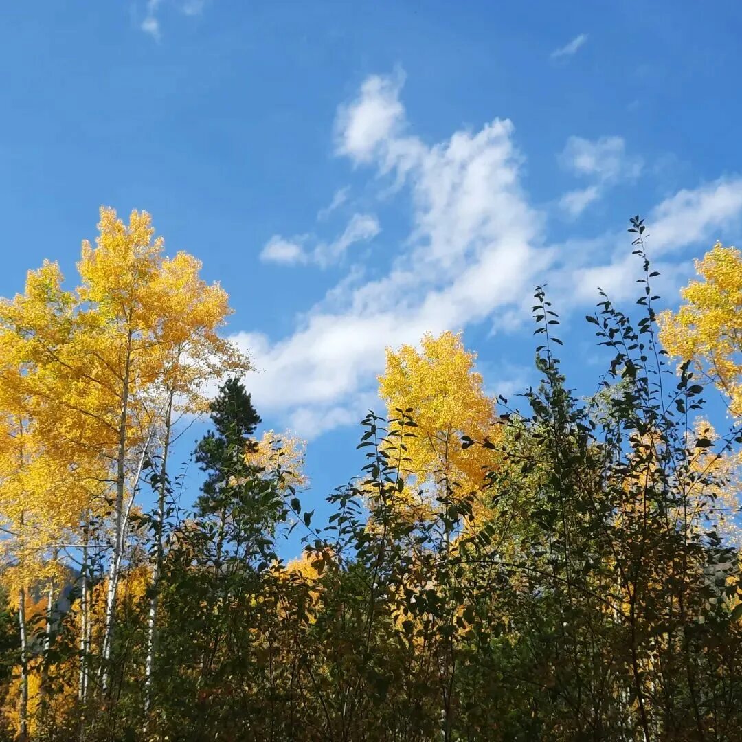 аршан прогноз погоды на 10