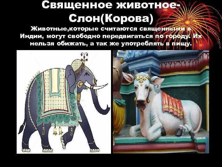 Священным животным индии была и остается. Корова священное животное в индии. священное животное в индии священное животное в индии. слон священное животное. священное животное россии.