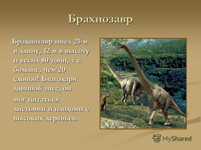 Брахиозавр и Тираннозавр. Проект про динозавров 1 класс Брахиозавр. Сообщение о динозавре Брахиозавр. Брахиозавр рассказ для детей.