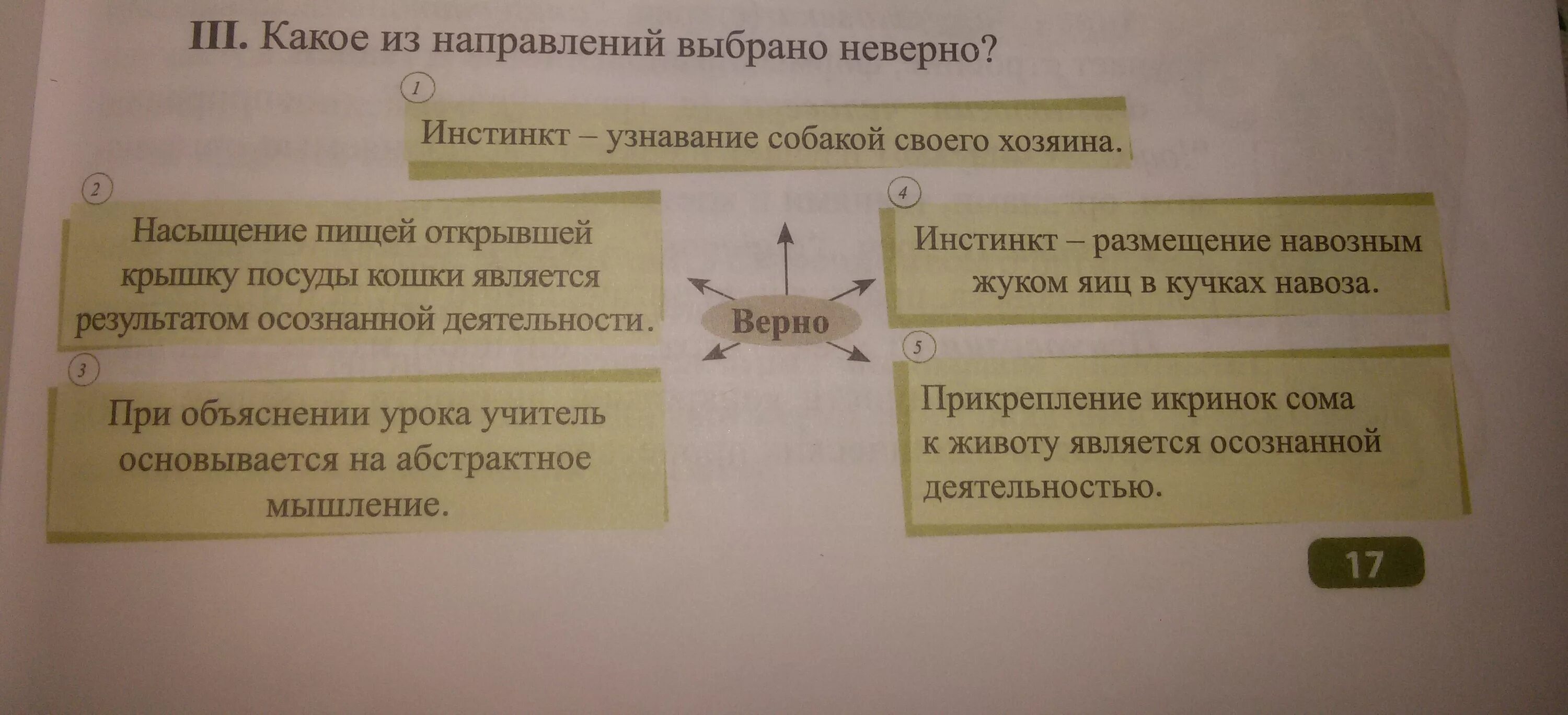 Какое утверждение ошибочно однородными. Неверно выбранное направление. Выберите свое направление. Выберите неверное утверждение о предприятии. Выбери неправильный ответ на вопрос путешествуют ли растения.