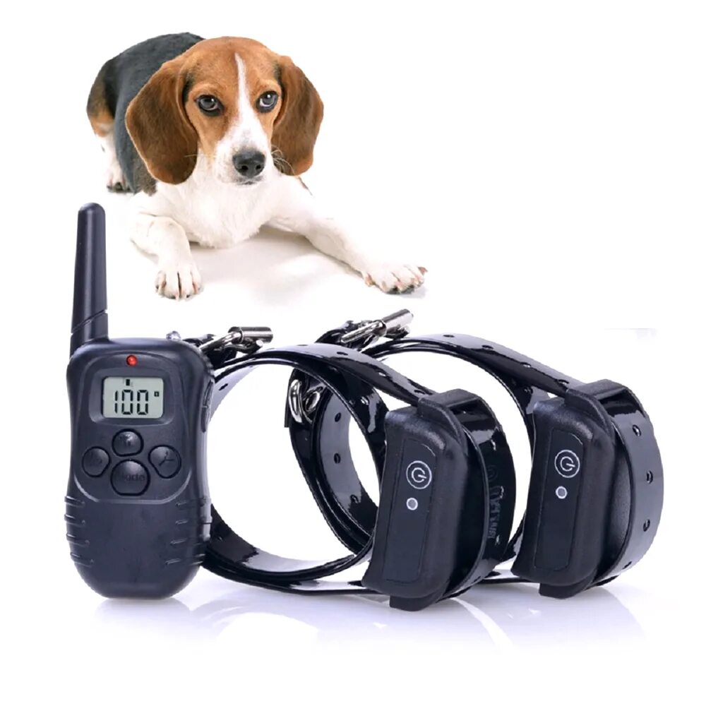 Электроошейник Collar 320. Электроошейник для собак с пультом антилай. Dog Training Collar электро ошейник для собак. Sportdog ошейник St 101. Купить ошейник для дрессировки собак с пультом