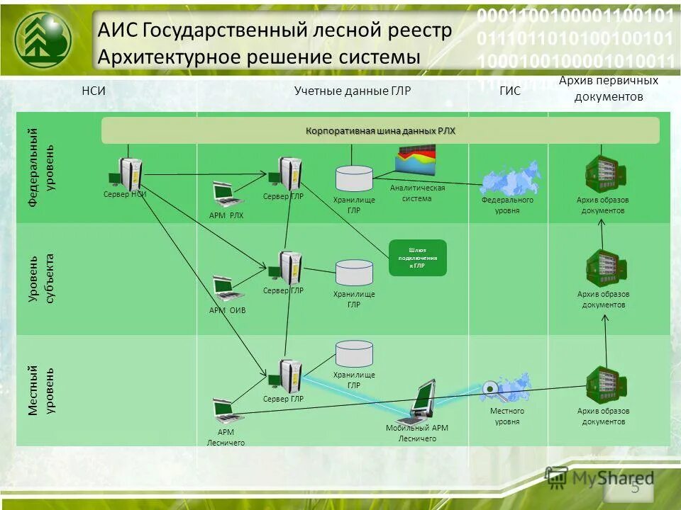 Государственный Лесной реестр (ГЛР). АИС государственный Лесной реестр. Разделы лесного реестра. ГЛР это в Лесном хозяйстве.