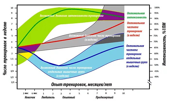 Наибольшая интенсивность роста наблюдается. Оптимальная частота тренировок. график интенсивности тренировок. частота тренировок в неделю. интенсивность силовых упражнений.