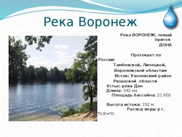 Воды какой реки протекают через. Исток реки Воронеж.