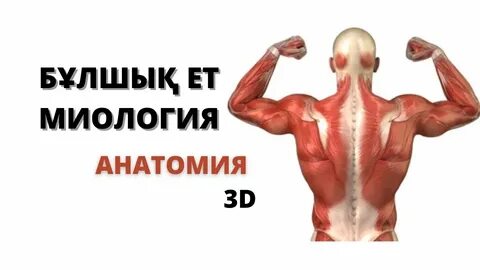 Моншадағы орыс ауылының порносы