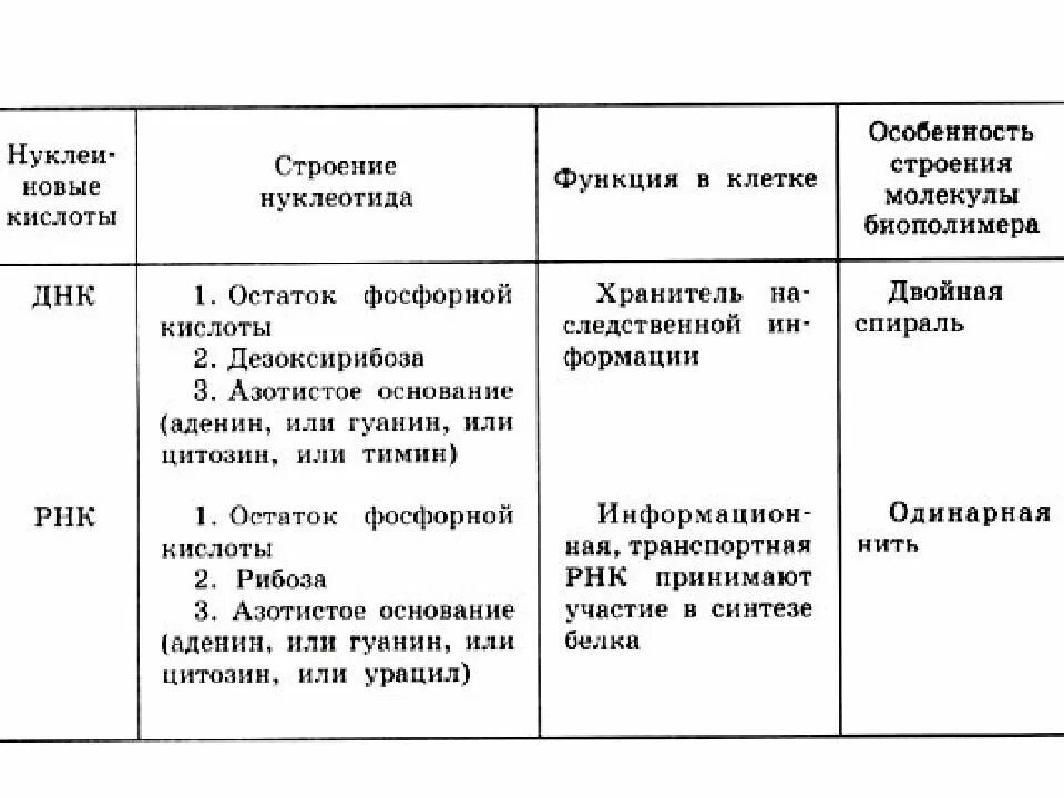 Строение и функции ДНК И РНК таблица. Таблица строение и функции ДНК И РНК структура. Строение ДНК И РНК таблица. Строение ДНК И РНК И их функции.