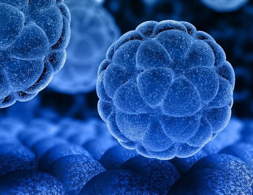 Reversed cell